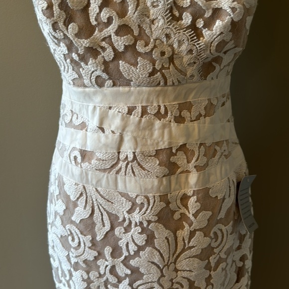 Tadashi Shoji Ivory and Nude Lace Cocktail Dress Women's Size 4 - Picture 4 of 16